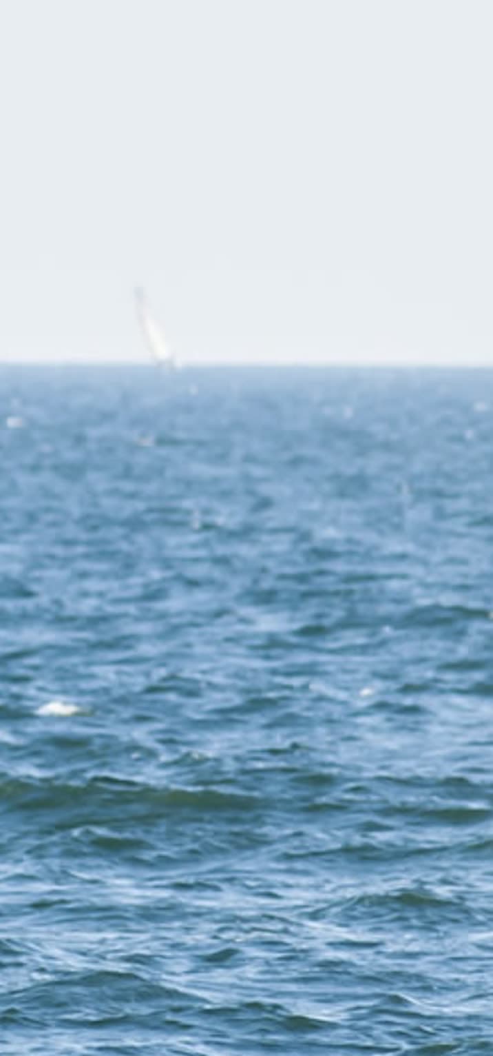 Laser Yelken sol görsel